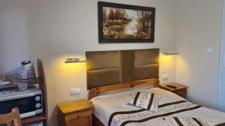 Pokoje Gościnne Ster - 9