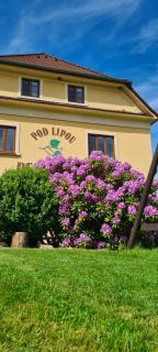 Pension Pod Lipou - Loučovice - 9