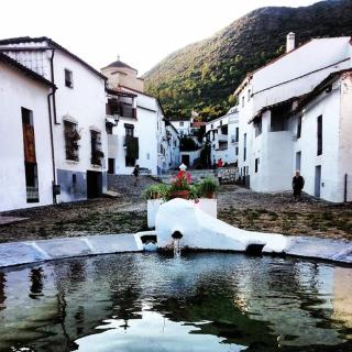 Alojamiento rural Las Alberquillas - Beas - 3
