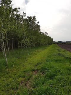 Hennebjerg overnatning - Stavsø - 9