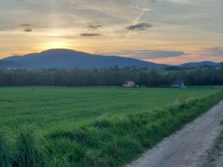 Agroturystyka Bierna. Gospodarstwo rolne. - Bierna - 5
