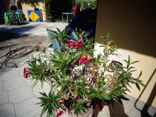 Saltlake apartman - Siófok - 1