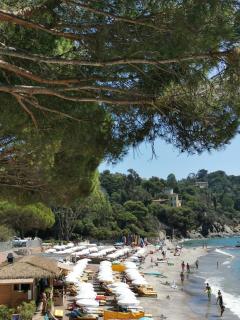 Résidence du Canadel - 6