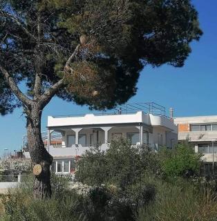 Apartman Grlić family suite Vodice Croatia - Vodice - 0