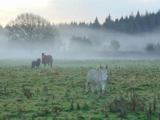 Secret & Secluded Sedlescombe - Battle - 3