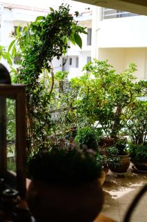 Lovely flat of Nafplio - Nafplio - 3