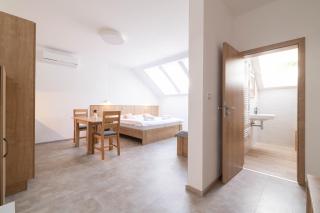 Apartmány Vinařství Šebesta - Dolní Dunajovice - 3