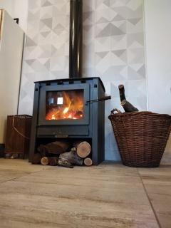 Alamo - Casa pet friendly - 2