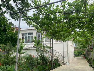 Hostel FORREST - Kutaisi - 0