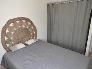 T3 45M2, Cap d'Adge,Secteur Falaise,4-6 pers, Clim, Fibre - WIFI, 100m plage - 1