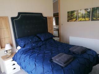 LUXURY LODGE on edge of New Forest and 800m from sea ENTERTAINMENT and LEISURE PASSES INCLUDED - Milford on Sea - 3