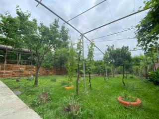 Hostel FORREST - Kutaisi - 9