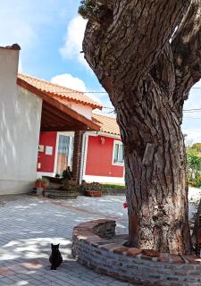 Casa de campo a 5 minutos da praia - 4