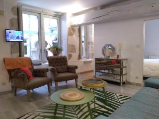 Passage du Cygne - Blois - 1