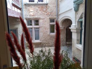 Passage du Cygne - Blois - 5