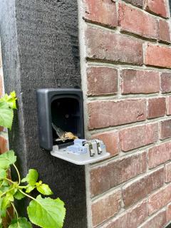 Ferienhaus unter Reet im Heidedorf Sankt Dionys bei Lüneburg - Sankt Dionys - 5