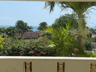 Petals Lovely Beach Villa - Saint John - 4