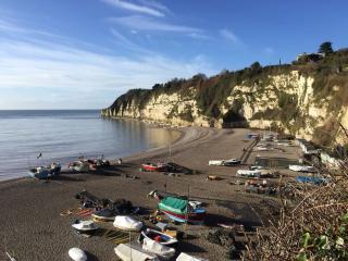 Escape Pod in Devon, 5 mins from beach + parking - 1
