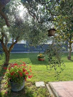 Il Trammino - Pisa - 5