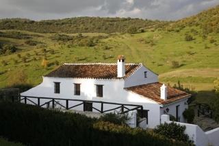 Cortijo Don Pablo - San Pablo - 7