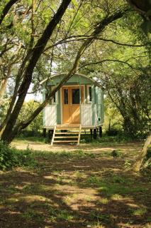 The Kestrel Shepherd Hut, Whitehouse Farm - Stowmarket - 1