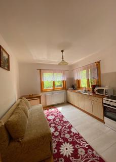 AB’s rustic cabin - Dejani - 6