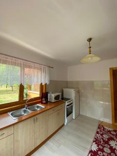 AB’s rustic cabin - Dejani - 5