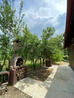 AB’s rustic cabin - Dejani - 7