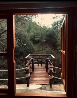 Bosco Paradiso - Limassol - 6