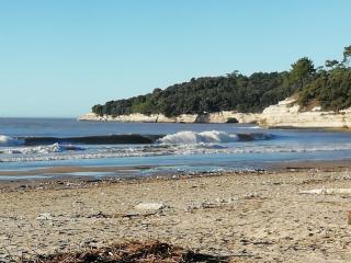 Location saisonniere - Cozes - 8