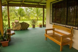 Green House - Samen - 3
