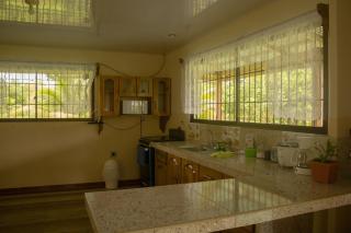 Green House - Samen - 7