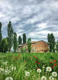 Le Stanze di Matilde - Crevalcore - 9