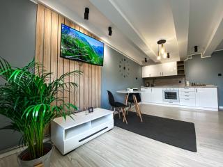 BP Apartment VI - Toruń - 0