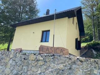 Lasica - 8