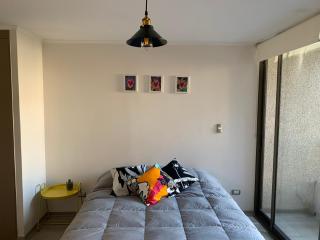 Departamento ideal para viajeros, zona turística - Santiago - 5