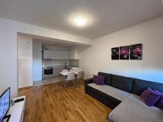 Apartman Lukana - Banja Luka - 1