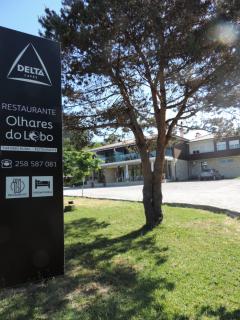 Olhares do Lobo - 7
