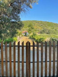 Villa Alexandros - Amolianí - 8