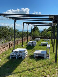 Chateau Segesdi BorApartman - 5