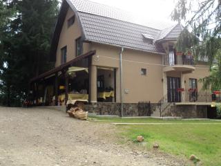 Cabana Suvenirurilor - Scărişoara - 7