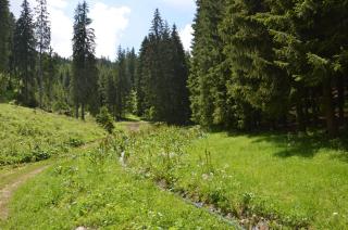 Byt Staré koliesko, Jasná, Demänovská Dolina - Demänovská Dolina - 1