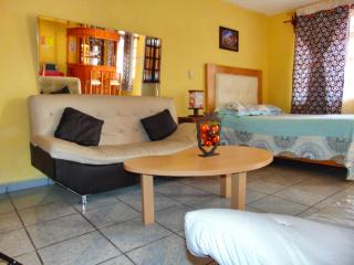 El paraíso de Zacatlán DEPARTAMENTO con JARDÍN, 11 pax - Zacatlán - 7