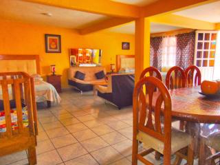 El paraíso de Zacatlán DEPARTAMENTO con JARDÍN, 11 pax - Zacatlán - 3