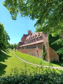 Apartament Zamkowy - Malbork - 8