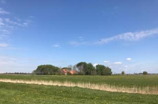 Ferienhof Spiegelhaus - Krummhörn - 0