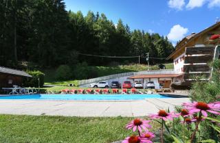 Pension Alpeggerhof - Terento - 8