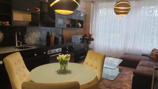 Květinový apartmán A3B v Chomutově - Chomutov - 7