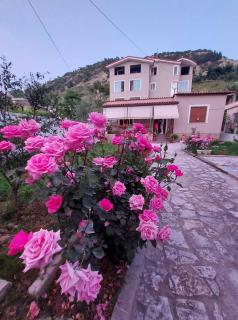 Vlore Holiday House - 5