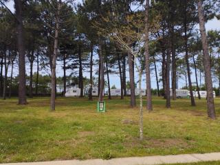 Camping Fraga Balada - Porto do Son - 6